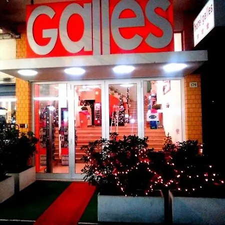嘉莱士里米尼酒店 酒店 3*