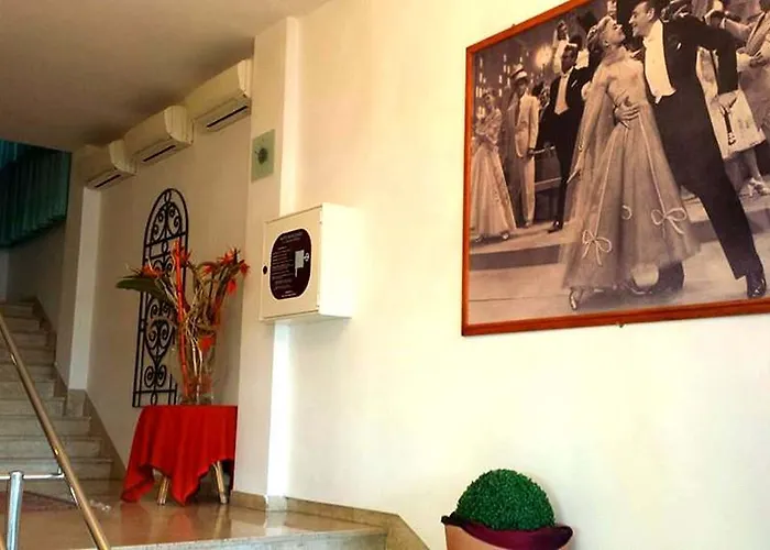 酒店 嘉莱士里米尼酒店 3*